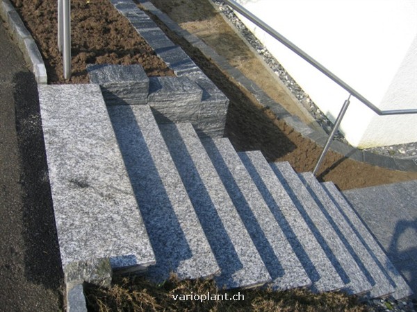 Heller Gneis mit dunklem Muster